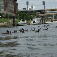 2009.06.21-city-129.JPG