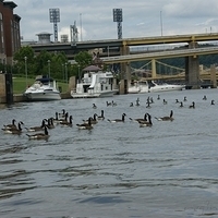 2009.06.21-city-130.JPG