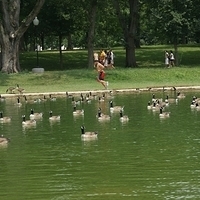 2009.07.11-DC-072.JPG