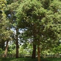 2009.07.12-DC-078.JPG
