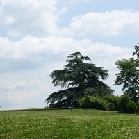 2009.07.12-DC-081.JPG