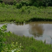 2009.06.29-docks-001.JPG