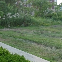 2009.07.09-docks-001.JPG