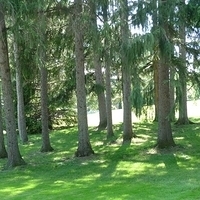 2009.06.24-school-004.JPG