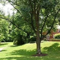 2009.07.01-school-003.JPG