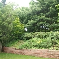 2009.06.12-auntie-005.JPG