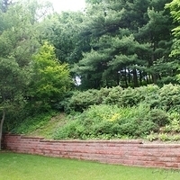 2009.06.12-auntie-006.JPG