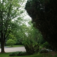 2009.06.12-auntie-008.JPG