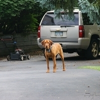 2009.06.12-auntie-014.JPG