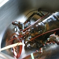 2009.06.13-auntie-001.JPG