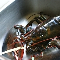 2009.06.13-auntie-002.JPG