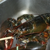 2009.06.13-auntie-004.JPG