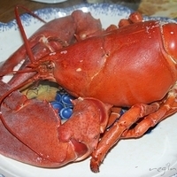 2009.06.13-auntie-005.JPG
