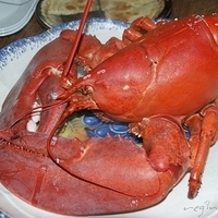 2009.06.13-auntie-006.JPG