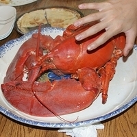 2009.06.13-auntie-007.JPG