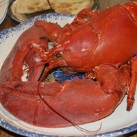 2009.06.13-auntie-008.JPG