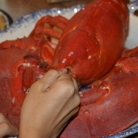 2009.06.13-auntie-009.JPG