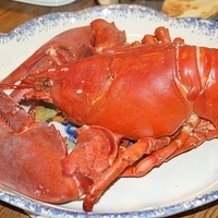 2009.06.13-auntie-013.JPG