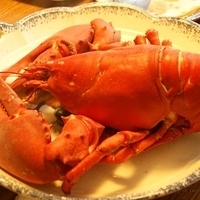 2009.06.13-auntie-014.JPG