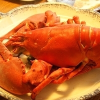2009.06.13-auntie-015.JPG