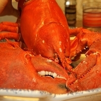 2009.06.13-auntie-021.JPG
