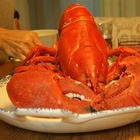 2009.06.13-auntie-022.JPG
