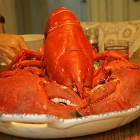 2009.06.13-auntie-023.JPG