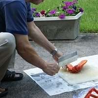 2009.06.13-auntie-028.JPG