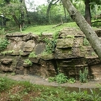 2009.07.03-zoo-008.JPG