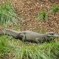 2009.07.03-zoo-009.JPG