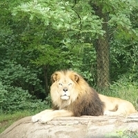 2009.07.03-zoo-010.JPG