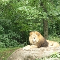 2009.07.03-zoo-011.JPG