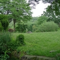 2009.07.03-zoo-014.JPG
