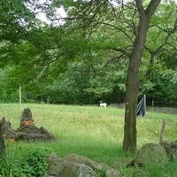 2009.07.03-zoo-015.JPG