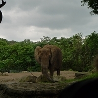 2009.07.03-zoo-016.JPG