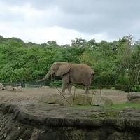 2009.07.03-zoo-018.JPG