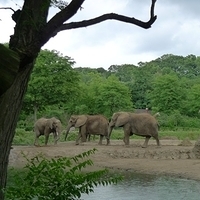 2009.07.03-zoo-019.JPG
