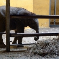 2009.07.03-zoo-023.JPG