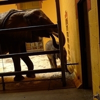 2009.07.03-zoo-024.JPG