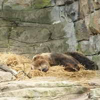 2009.07.03-zoo-028.JPG