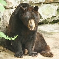 2009.07.03-zoo-032.JPG