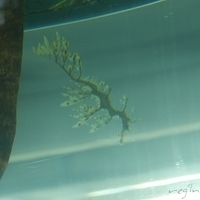 2009.07.03-zoo-039.JPG
