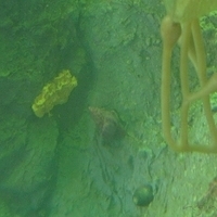 2009.07.03-zoo-045.JPG