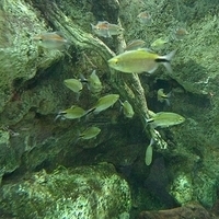 2009.07.03-zoo-046.JPG