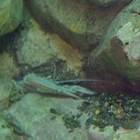 2009.07.03-zoo-049.JPG