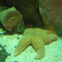 2009.07.03-zoo-050.JPG