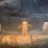 2009.07.03-zoo-057.JPG