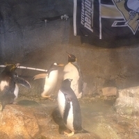 2009.07.03-zoo-059.JPG