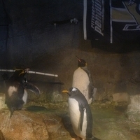 2009.07.03-zoo-060.JPG