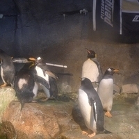 2009.07.03-zoo-062.JPG
